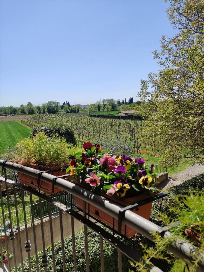 Agriturismo La Vigna Кола Экстерьер фото
