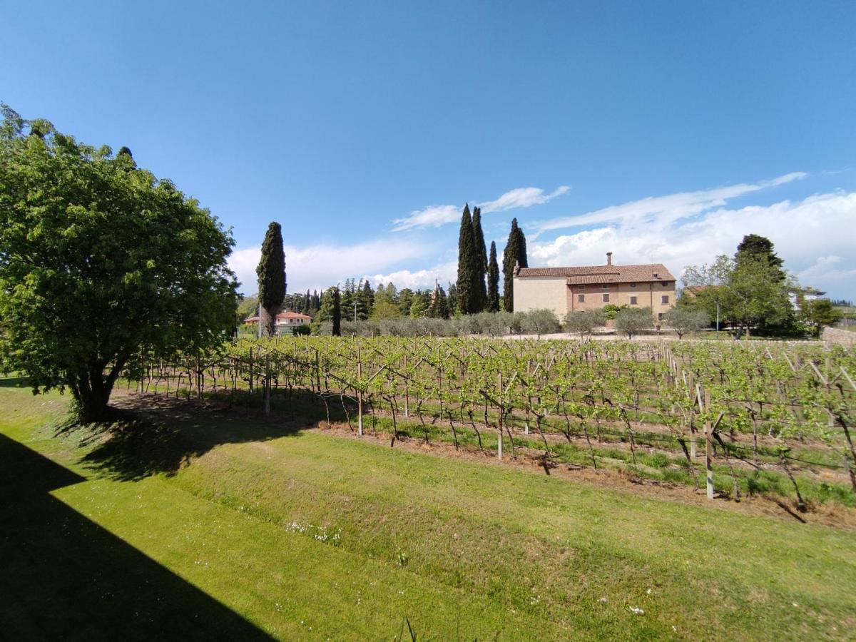 Agriturismo La Vigna Кола Экстерьер фото